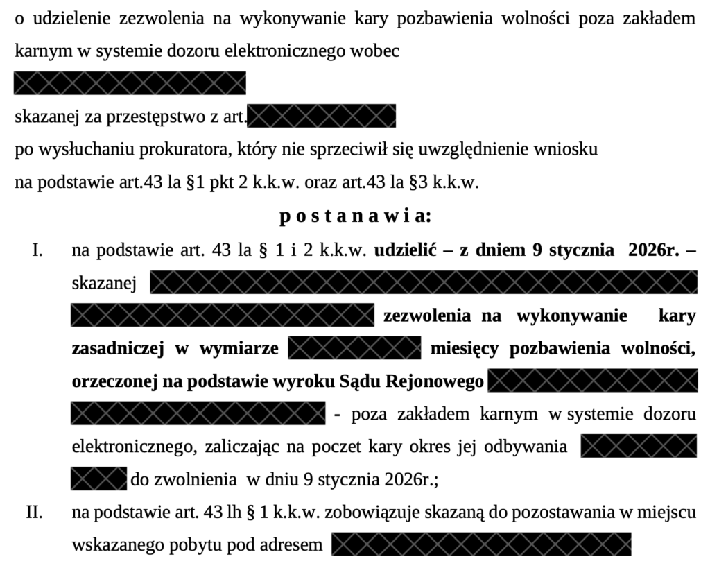 dozór elektroniczny
